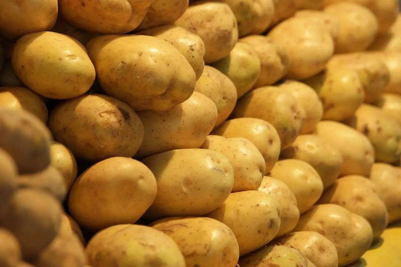 Batata