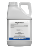 RoyalPrezor