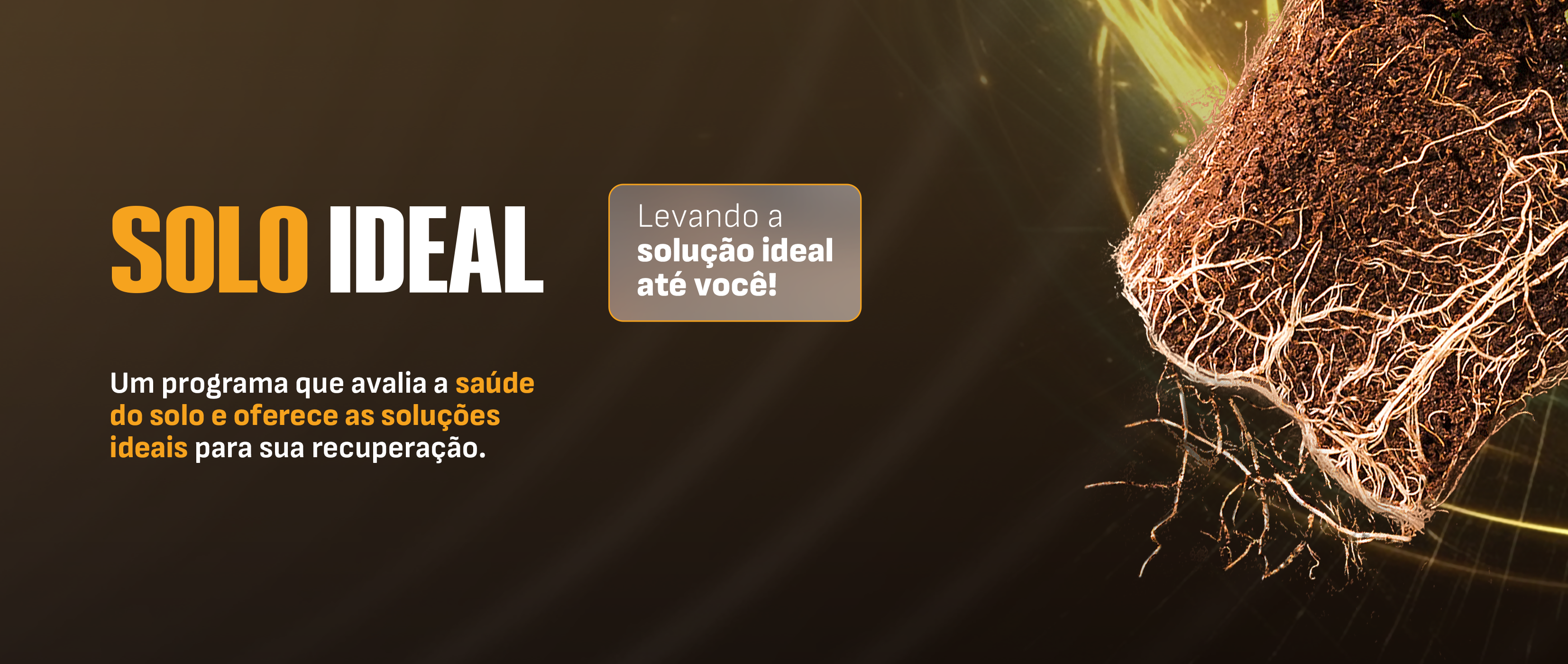 Banner Solo