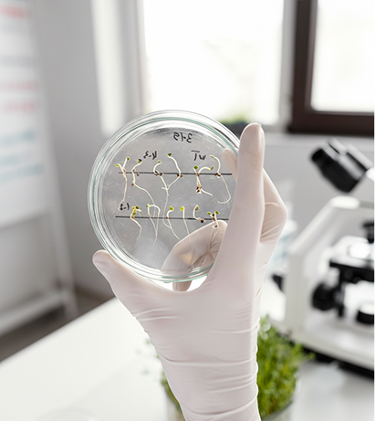 Laboratório