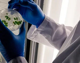 Diagnóstico de solo é o primeiro passo para proteger lavouras e garantir produtividade