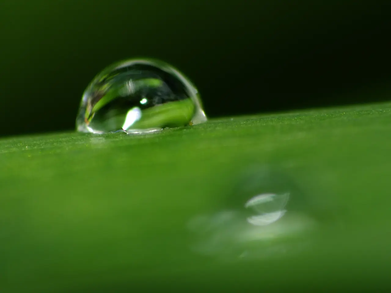 Ecoimpact